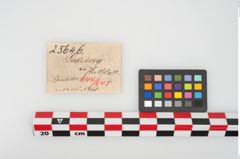 Etikett zu Bronzemehrkopfnadel (NHMW-PRAE-025646)